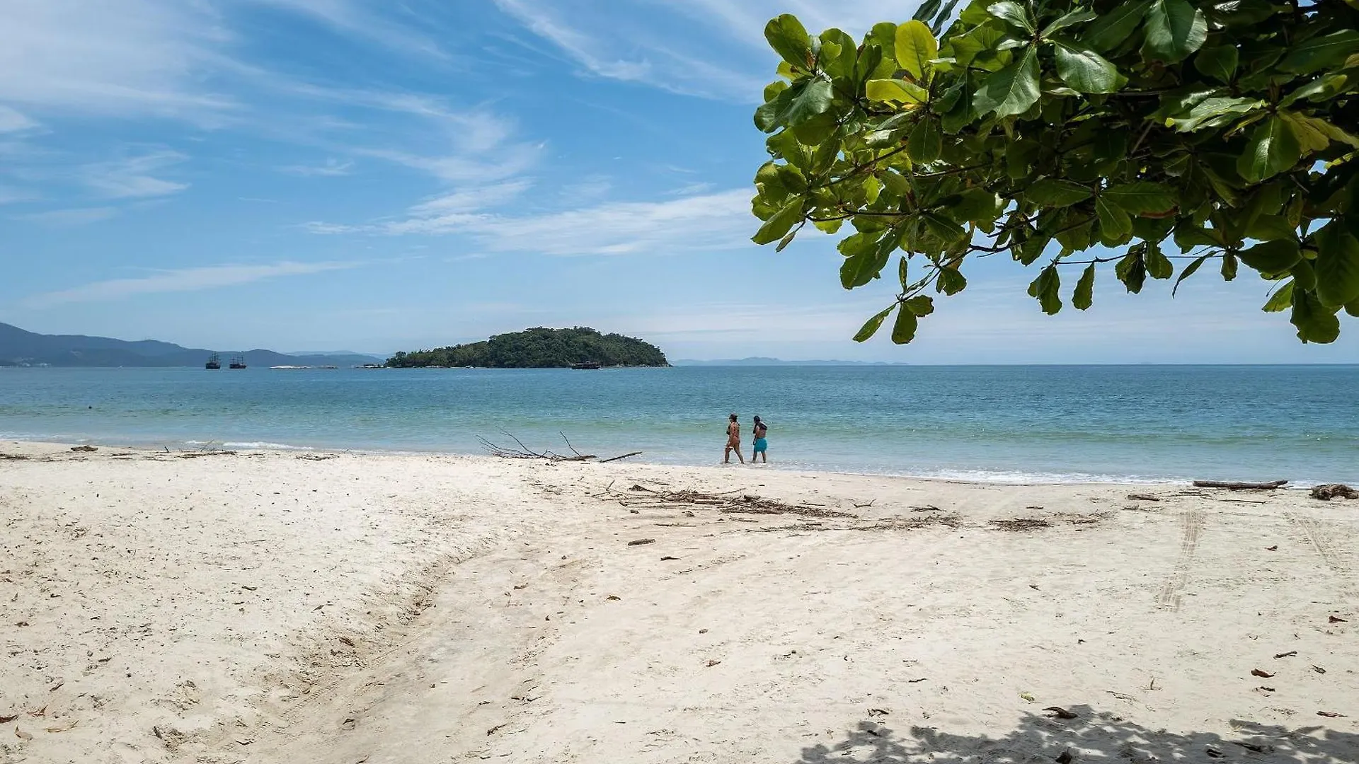 Apartamento Apto Frente Mar Com Vista Para A Ilha Cca201 Florianópolis